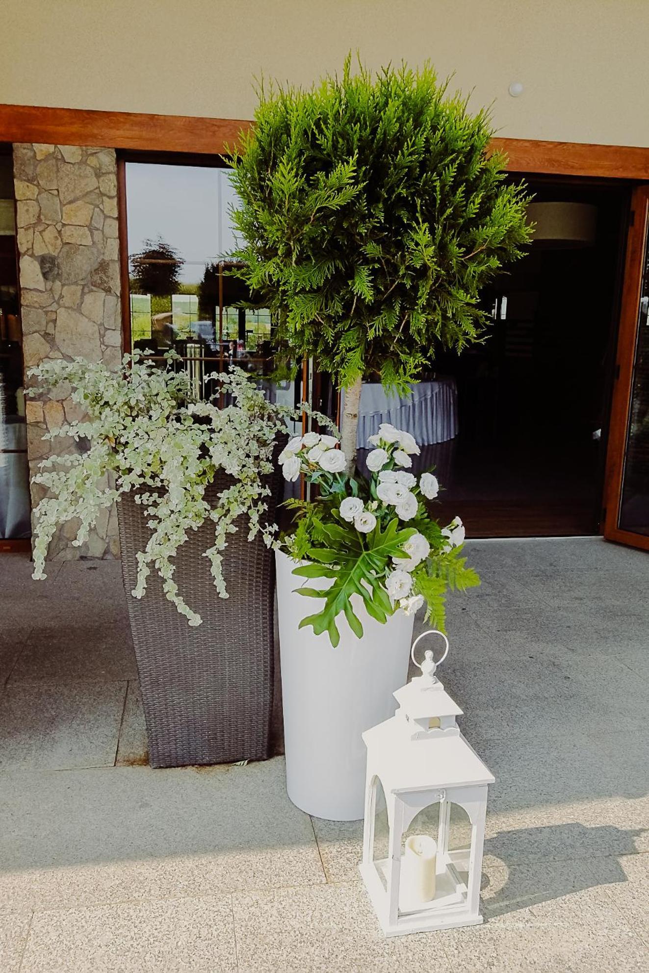 Hotel Bonsai Niemcza Extérieur photo